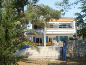 Гостиница Villa A  Пировац